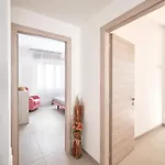 Harmony - Regarda Travel Vila *